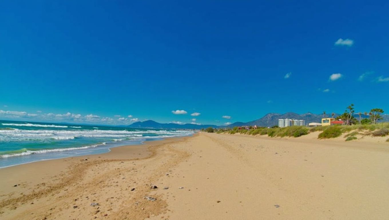 Playa La Víbora